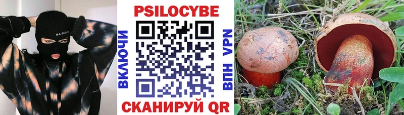 Псилоцибиновые грибы Psilocybe  блэк спрут ССЫЛКА  Завитинск 